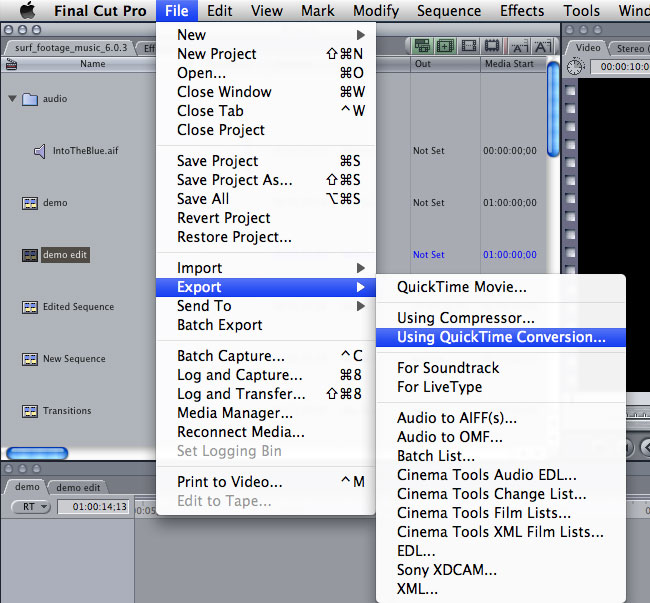 What Is The File Extension For A Movie Export With Quicktime