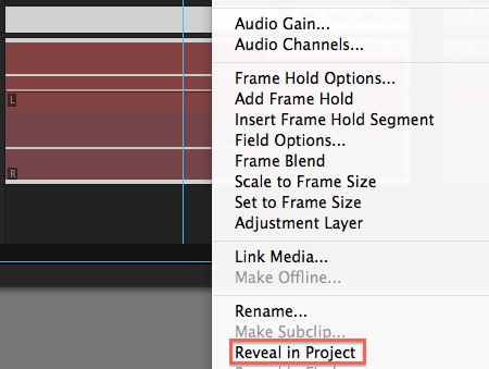premiere - reveal in project