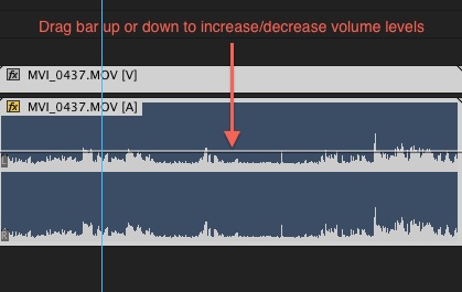 premiere - volume adjust